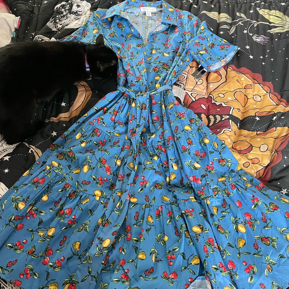 Miss Frizzle Dress
